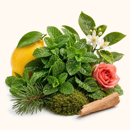Crushed Mint Leaves fragrance oil