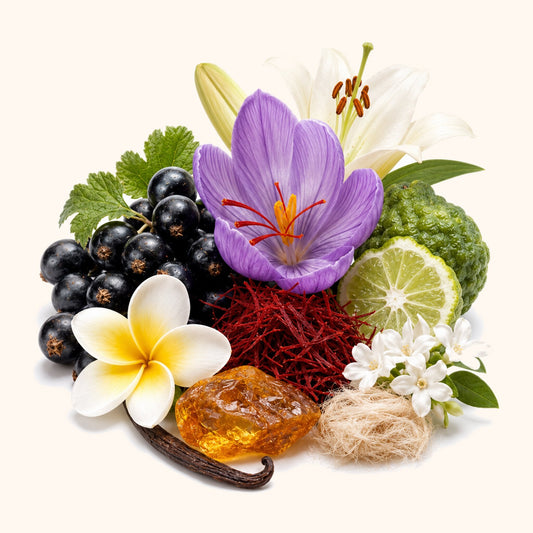 Saffron Black Currant fragrance oil